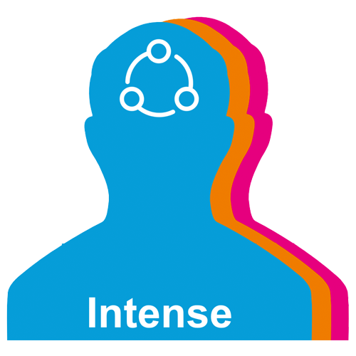 Intense pakket icon